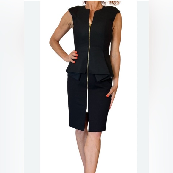 Ted Baker Black Dress with Gold Zipper - Picture 1 of 3
